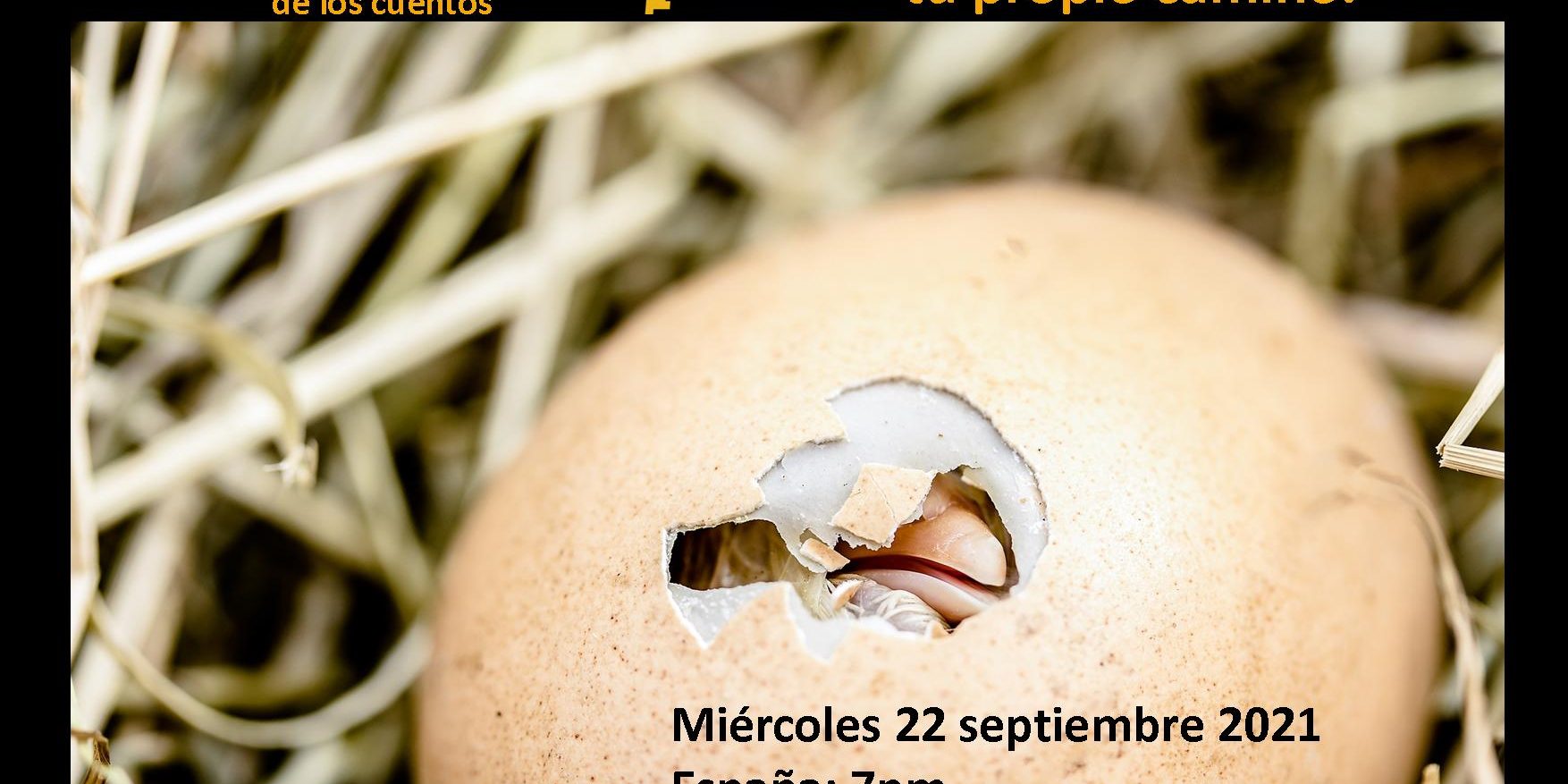 JPG-Instagram-PromoCuentoterapia-240921